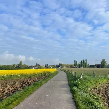 Cozy Near Messe Easy Transport&friendly Host * 杜塞尔多夫